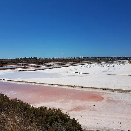 Casas Tipicas Algarvias *