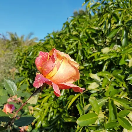 Дом отдыха Casas Tipicas Algarvias