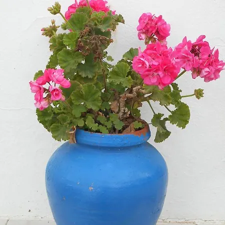 Casas Tipicas Algarvias Ferienhaus